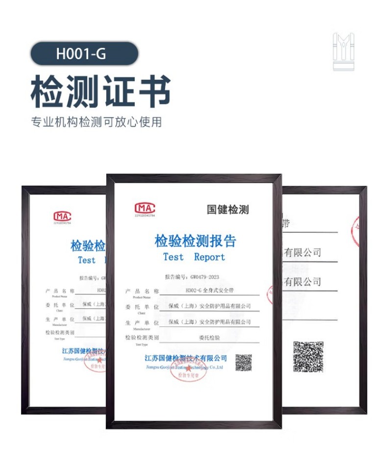 PIP H001-G經(jīng)濟款單掛點全身式安全帶9