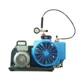梅思安10181241空氣壓縮機(jī)MSA100TE三相電機(jī)充氣泵